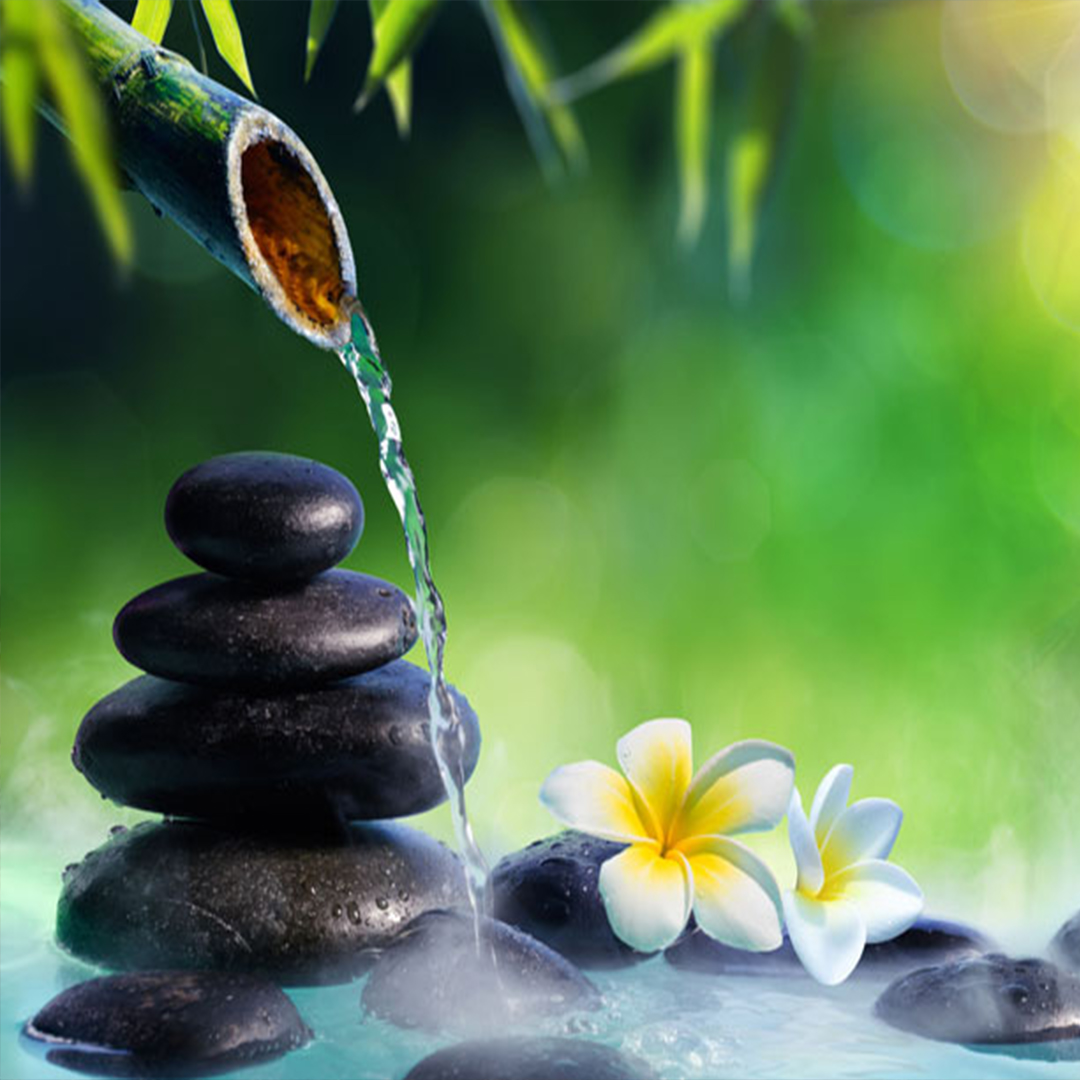Meditation Music, Nature Sounds